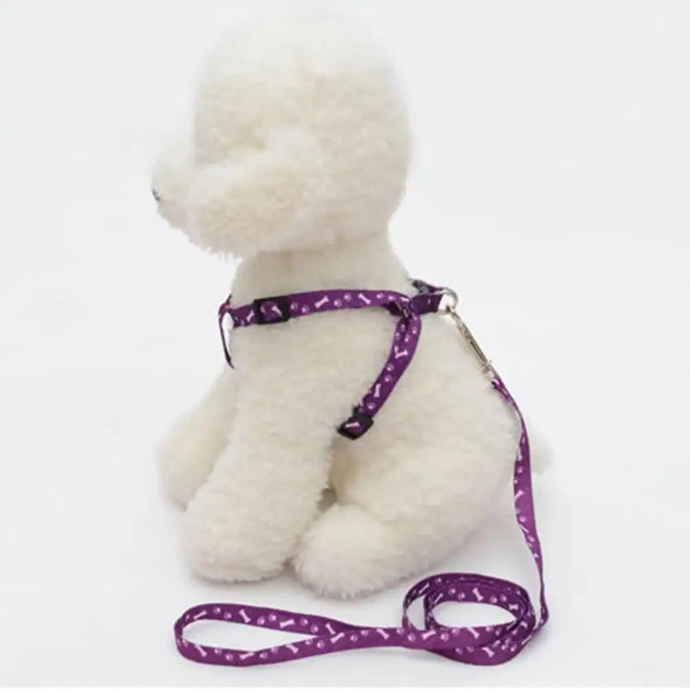Coleira ajustável para seu amiguinho(a) Leleo Pets