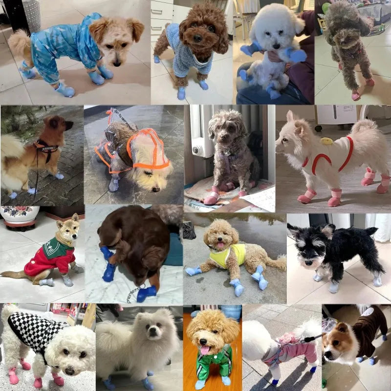 Botinha anti derrapante de silicone impermeável Leleo Pets