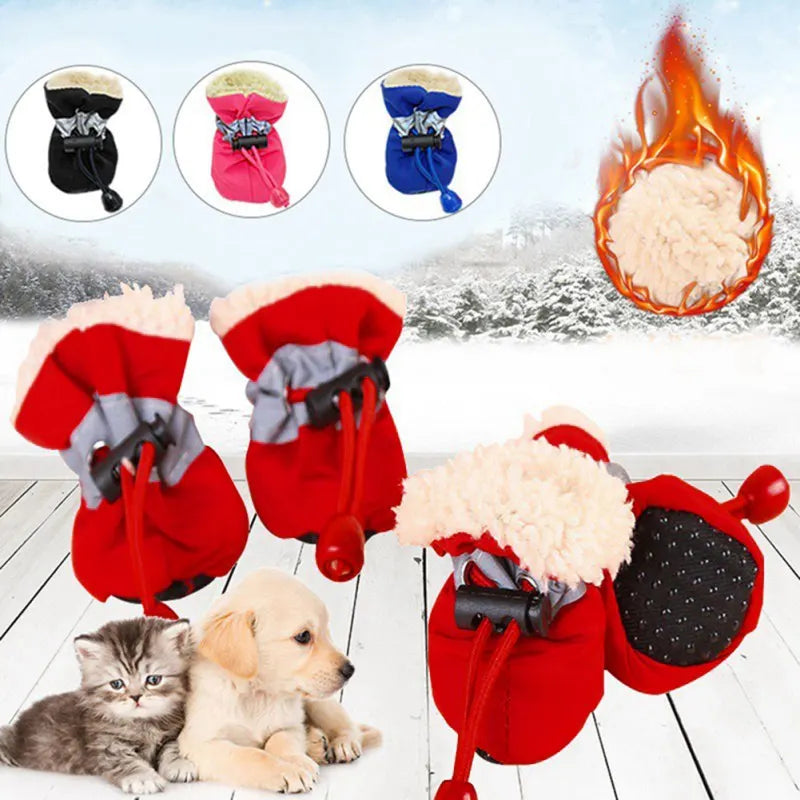 Botinha impermeável pacote com quatro Leleo Pets