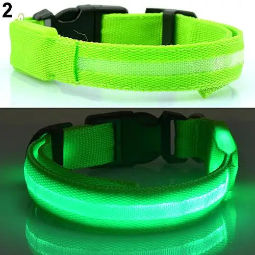 Coleira de LED para a noite confortável Leleo Pets