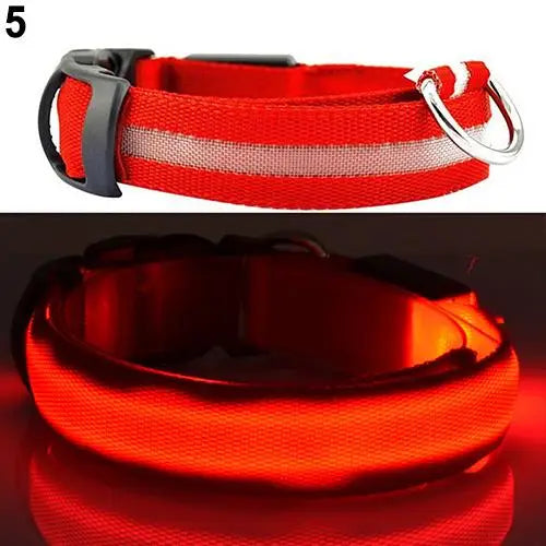 Coleira de LED para a noite confortável Leleo Pets