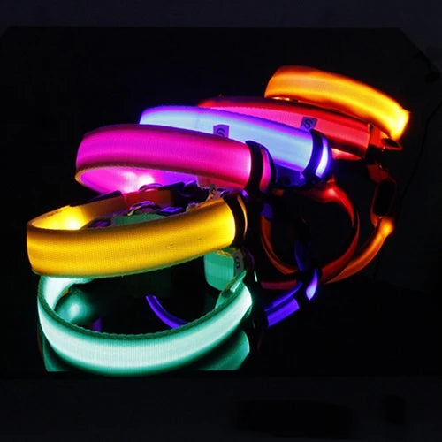 Coleira de LED para a noite confortável Leleo Pets