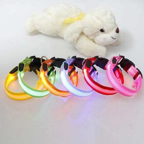 Coleira de LED para a noite confortável Leleo Pets