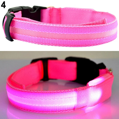 Coleira de LED para a noite confortável Leleo Pets
