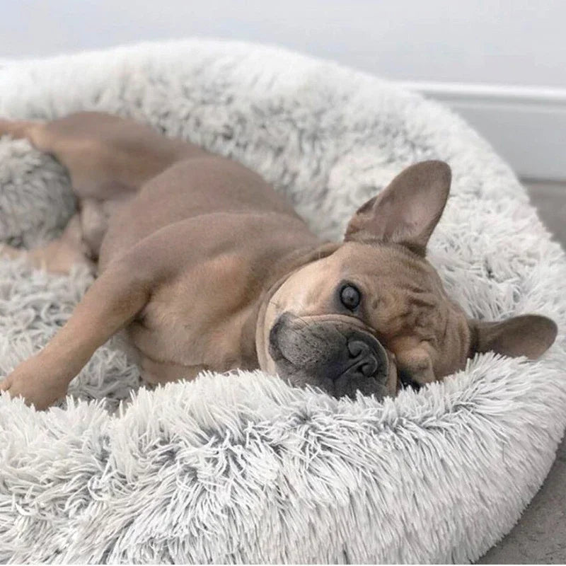 Sofázinho cama para sono leve Leleo Pets