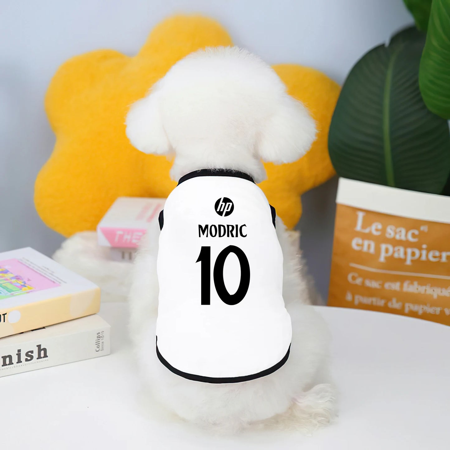 Camiseta futebol Real Madrid e Manchester City fofinho Leleo Pets