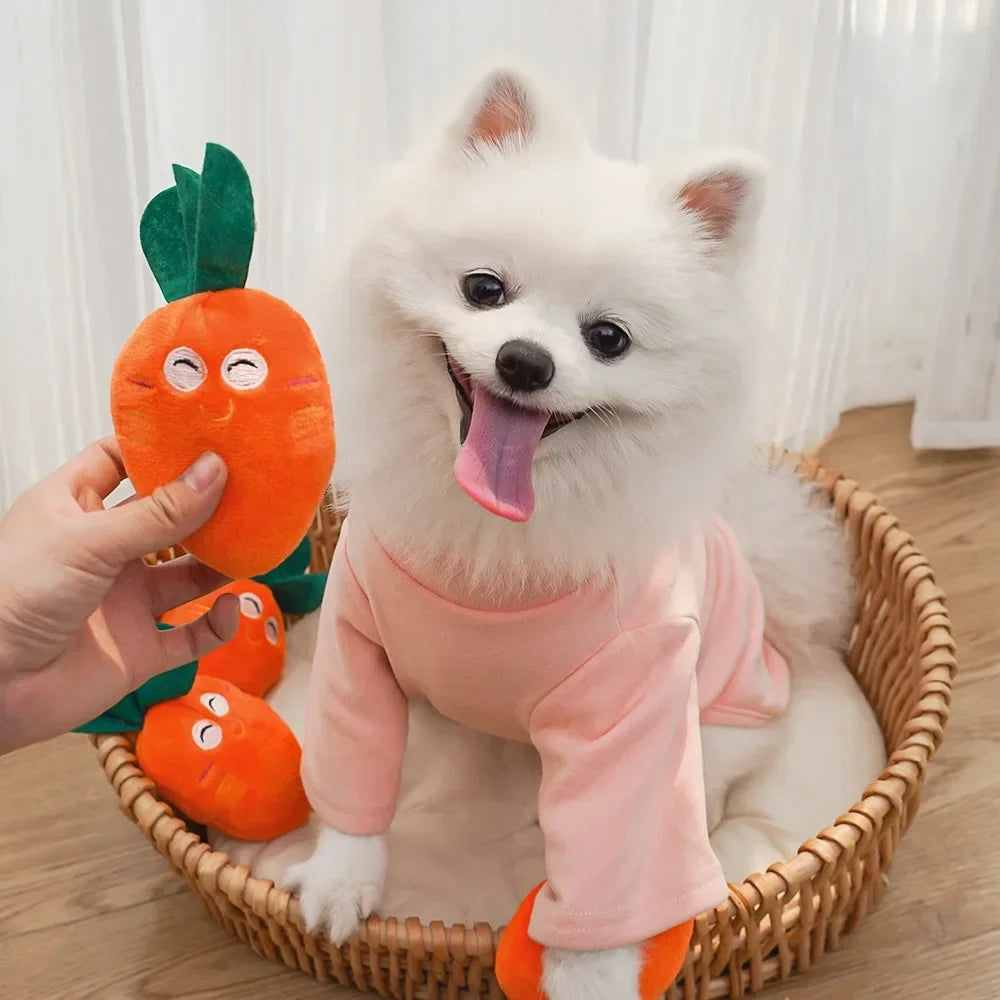 Brinquedo Mordedor Cenourinha Resistente Leleo Pets