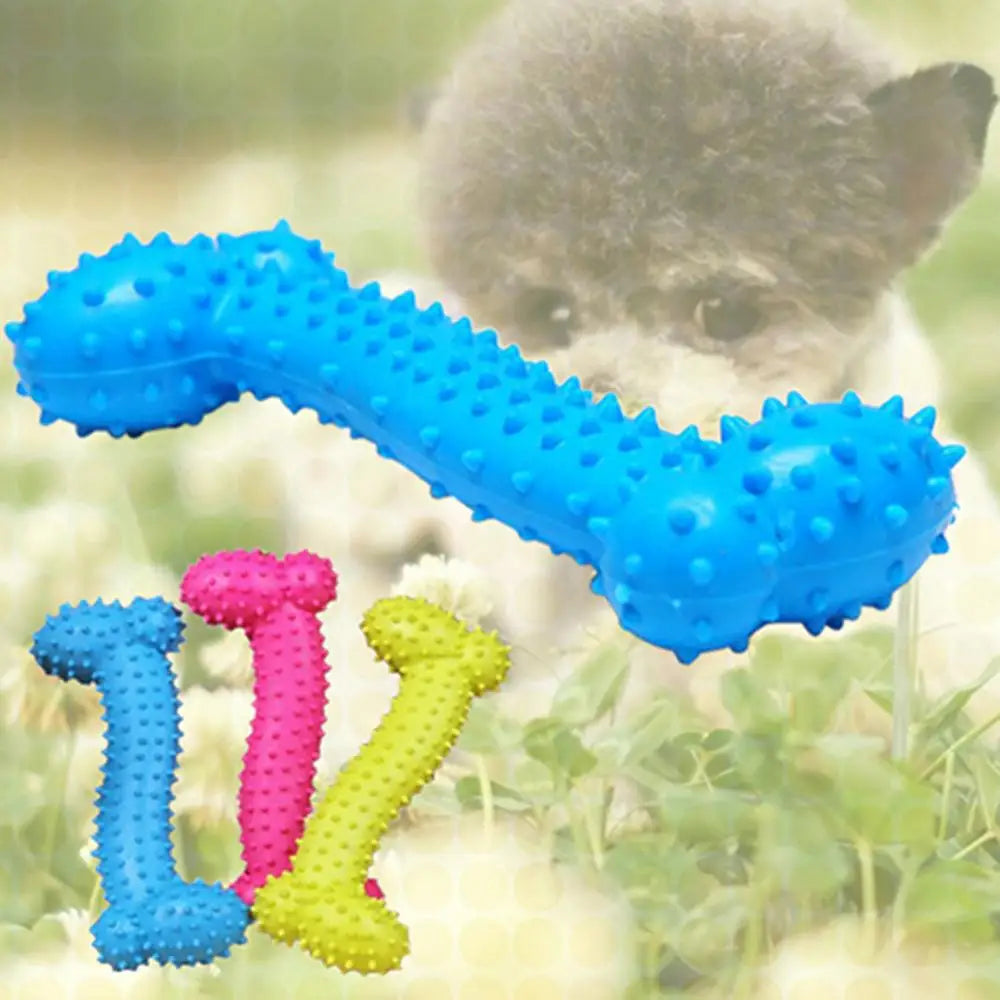 Brinquedo Ossinho Resistente Molar Leleo Pets