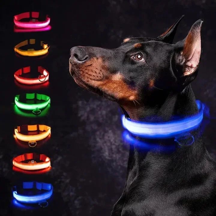 Coleira brilhante com led, ajustável recarregável e luminosa em dias noturnos - Leleo Pets