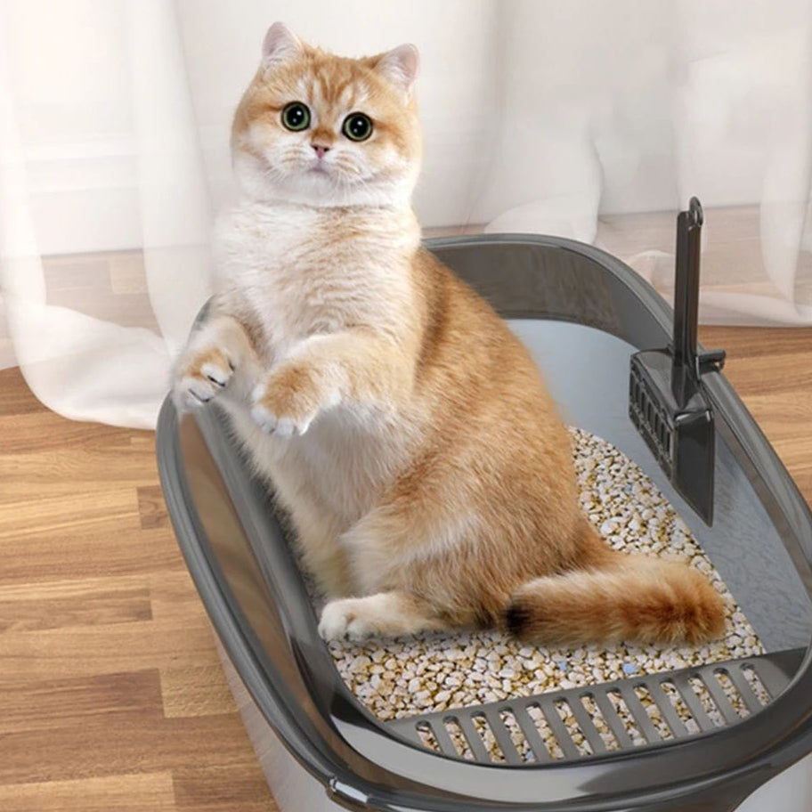 Caixa de areia - Leleo Pets