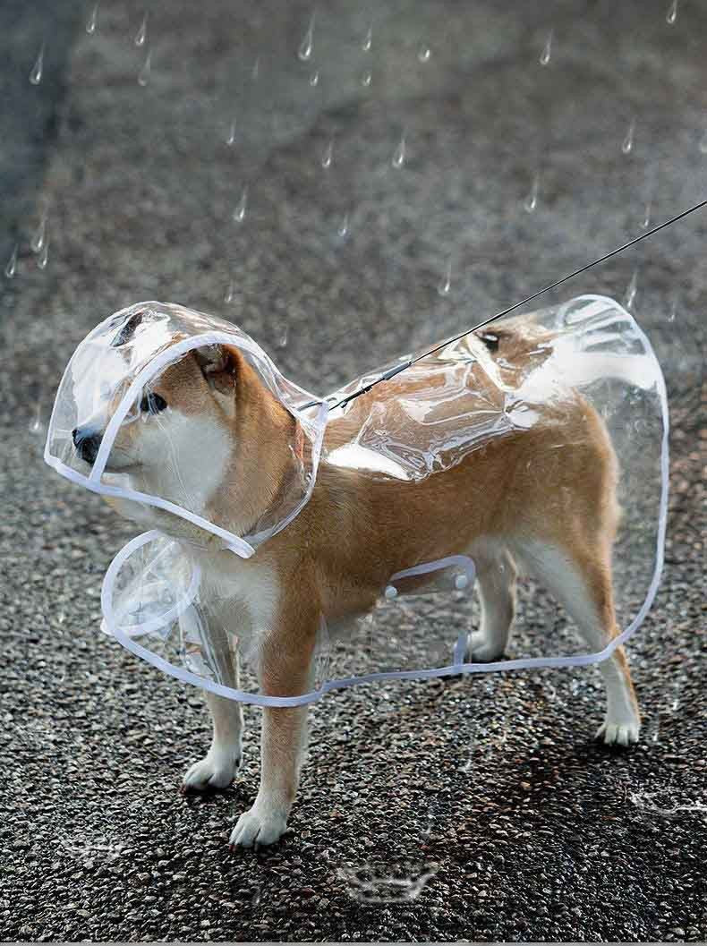 Capa de chuva impermeável transparente com touca para diversos tamanhos - Leleo Pets