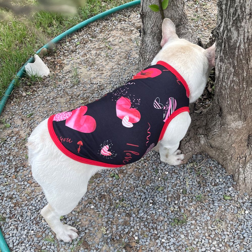 Coletinho regata com diversas estampas de amor e carinho a escolha - Leleo Pets