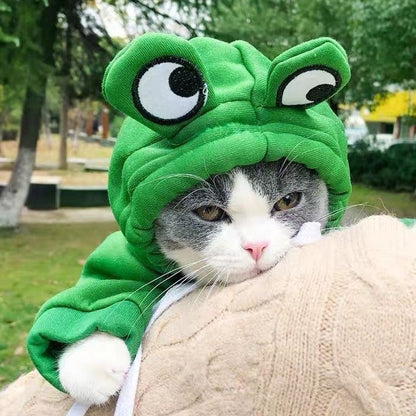 Moletom muito quentinho e fofinho "O Sapinho" serve para gatos ou cachorros - Leleo Pets