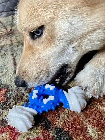 Brinquedo mordedor de osso de nylon revestido de TPR - Leleo Pets