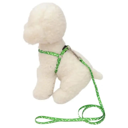 Coleira ajustável para seu amiguinho(a) Leleo Pets