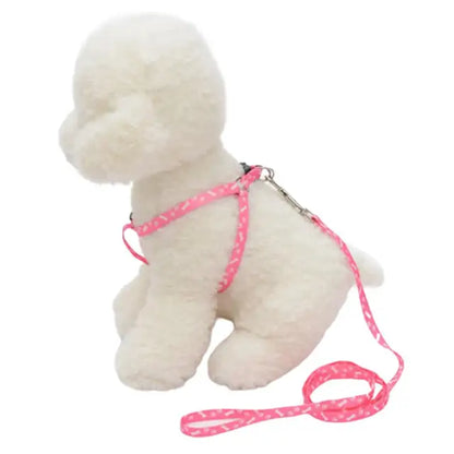 Coleira ajustável para seu amiguinho(a) Leleo Pets