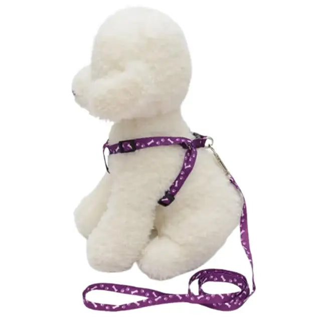 Coleira ajustável para seu amiguinho(a) Leleo Pets