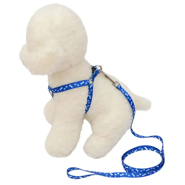 Coleira ajustável para seu amiguinho(a) Leleo Pets