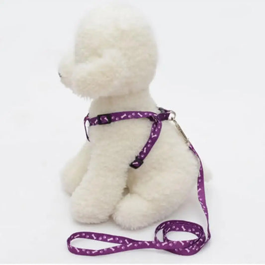 Coleira ajustável para seu amiguinho(a) Leleo Pets