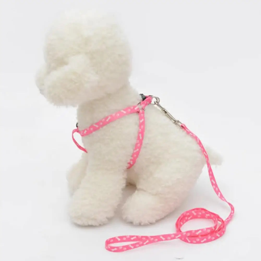 Coleira ajustável para seu amiguinho(a) Leleo Pets