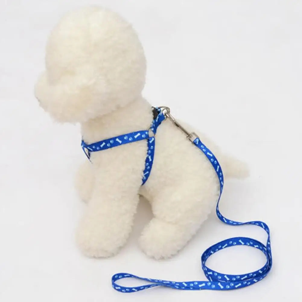 Coleira ajustável para seu amiguinho(a) Leleo Pets