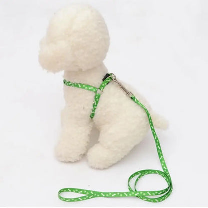 Coleira ajustável para seu amiguinho(a) Leleo Pets
