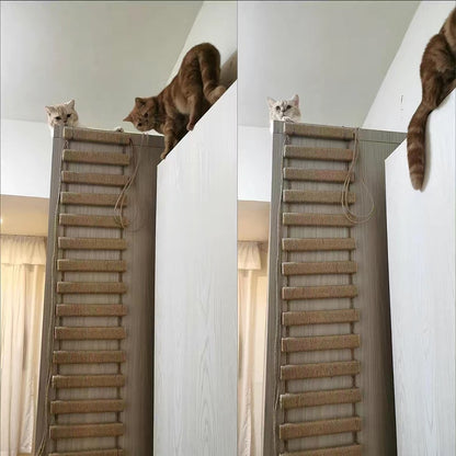 Ponte para gatos de madeira escada móveis - Leleo Pets