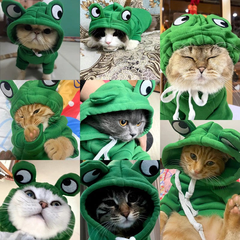 Moletom muito quentinho e fofinho "O Sapinho" serve para gatos ou cachorros - Leleo Pets