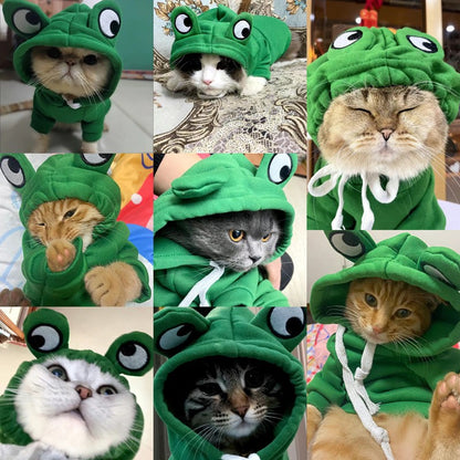 Moletom muito quentinho e fofinho "O Sapinho" serve para gatos ou cachorros - Leleo Pets