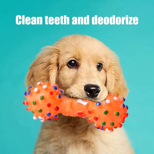 Brinquedo Ossinho limpa dente Leleo Pets