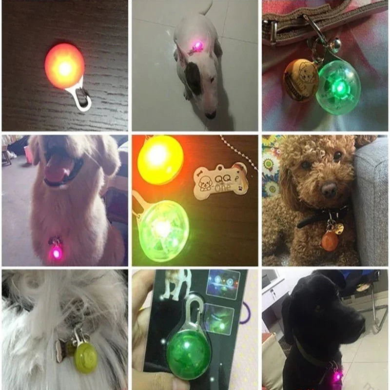 led luminoso coleira de gato do cão brilhante pingente luzes flash pet leva acessórios noite andando coleira para animais de estimação suprimentos