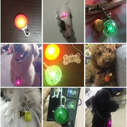 led luminoso coleira de gato do cão brilhante pingente luzes flash pet leva acessórios noite andando coleira para animais de estimação suprimentos