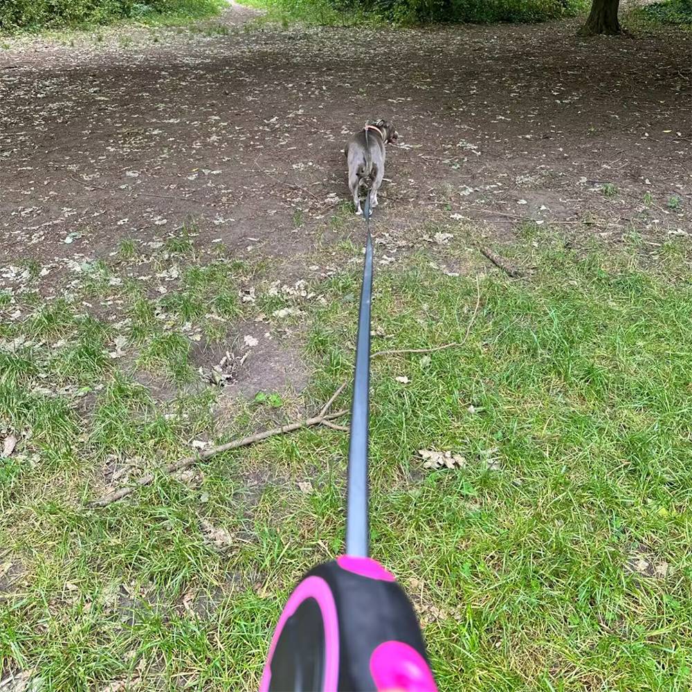 Guia Coleira retrátil para cães pequenos e grandes com alça extensível - Leleo Pets