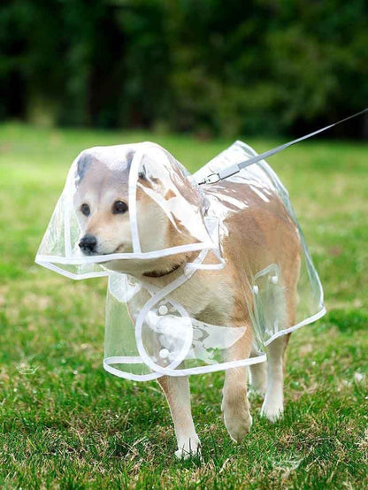 Capa de chuva impermeável transparente com touca para diversos tamanhos - Leleo Pets