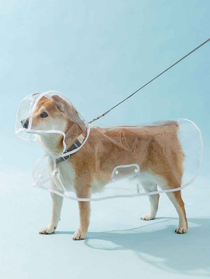 Capa de chuva impermeável transparente com touca para diversos tamanhos - Leleo Pets