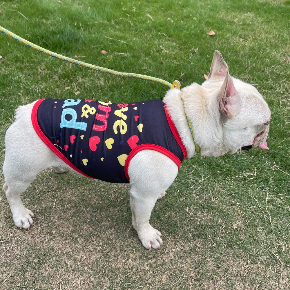 Coletinho regata com diversas estampas de amor e carinho a escolha - Leleo Pets