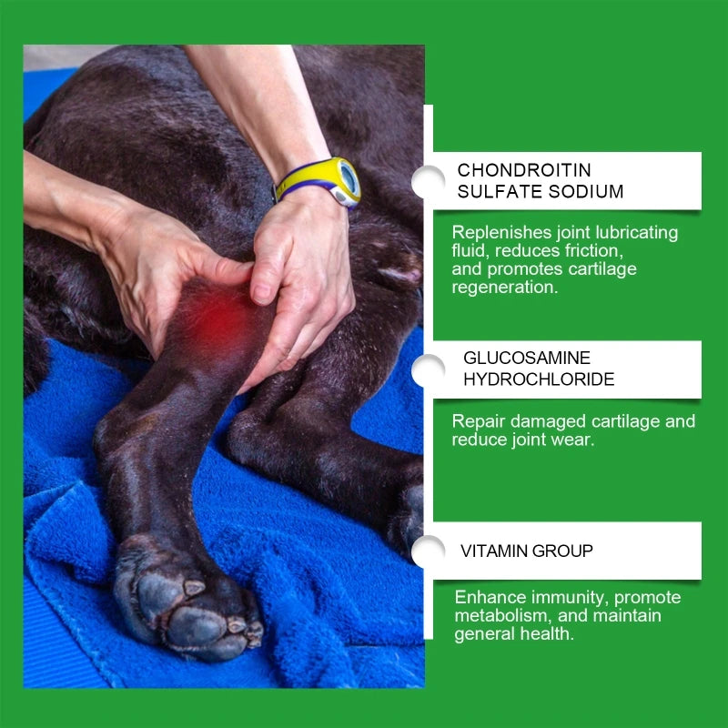 80 Comprimidos para articulações de cães com glucosamina auxílio da cartilagem Leleo Pets