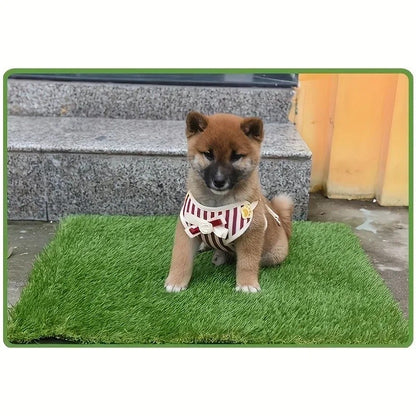 Tapete absorvente gramado reutilizável higiênico para cães de todos tamanhos - Leleo Pets