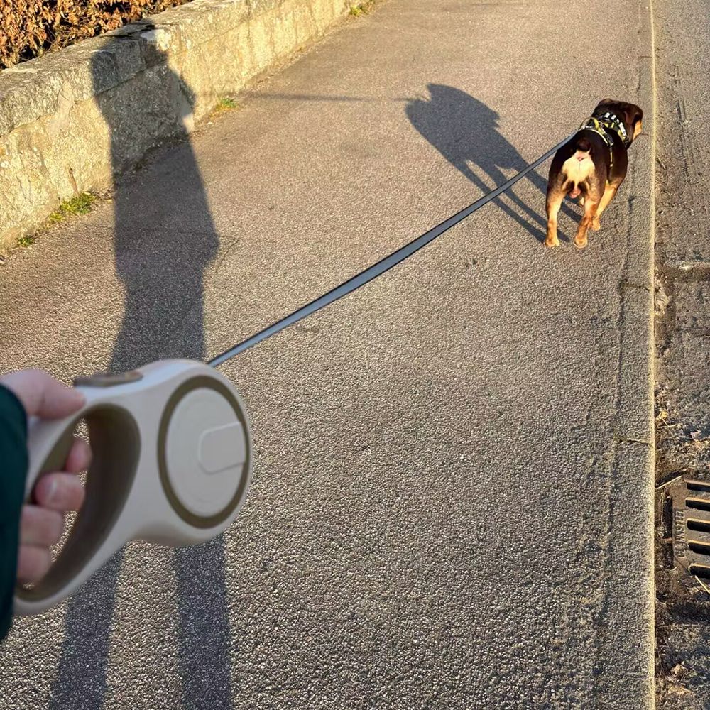Guia Coleira retrátil para cães pequenos e grandes com alça extensível - Leleo Pets