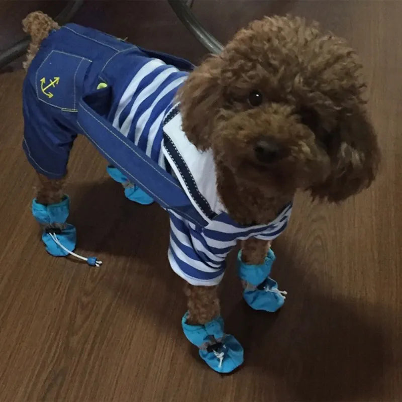 Botinha impermeável pacote com quatro Leleo Pets