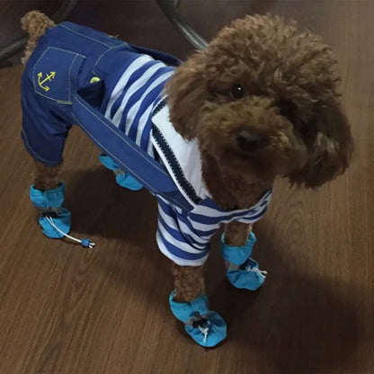 Botinha impermeável pacote com quatro Leleo Pets