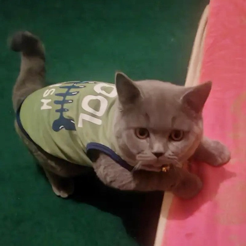 Camiseta de algodão com estampas fofinhas a escolha - Leleo Pets