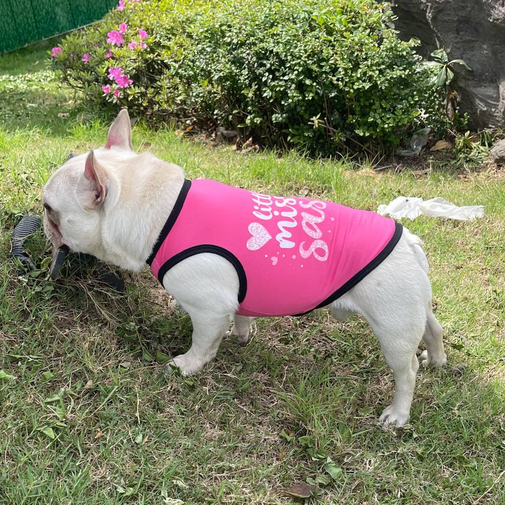 Coletinho regata com diversas estampas de amor e carinho a escolha - Leleo Pets