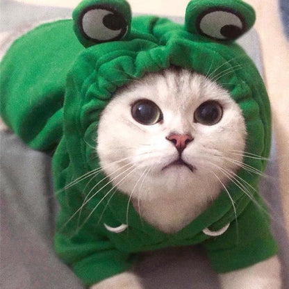 Moletom muito quentinho e fofinho "O Sapinho" serve para gatos ou cachorros - Leleo Pets
