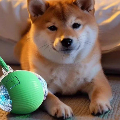 Brinquedo interativo de bola com rolamento automático de silicone com carregador - Leleo Pets