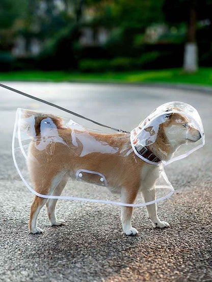 Capa de chuva impermeável transparente com touca para diversos tamanhos - Leleo Pets