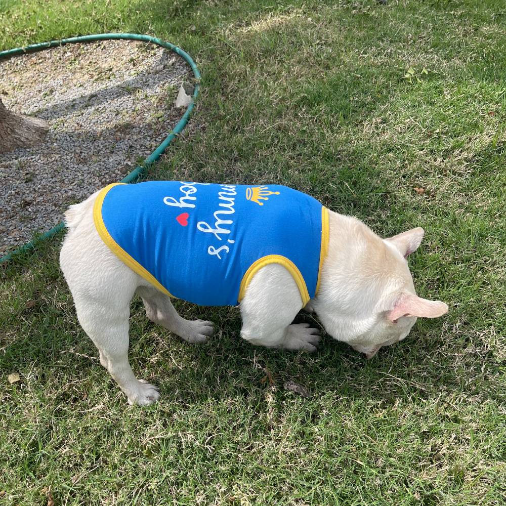 Coletinho regata com diversas estampas de amor e carinho a escolha - Leleo Pets