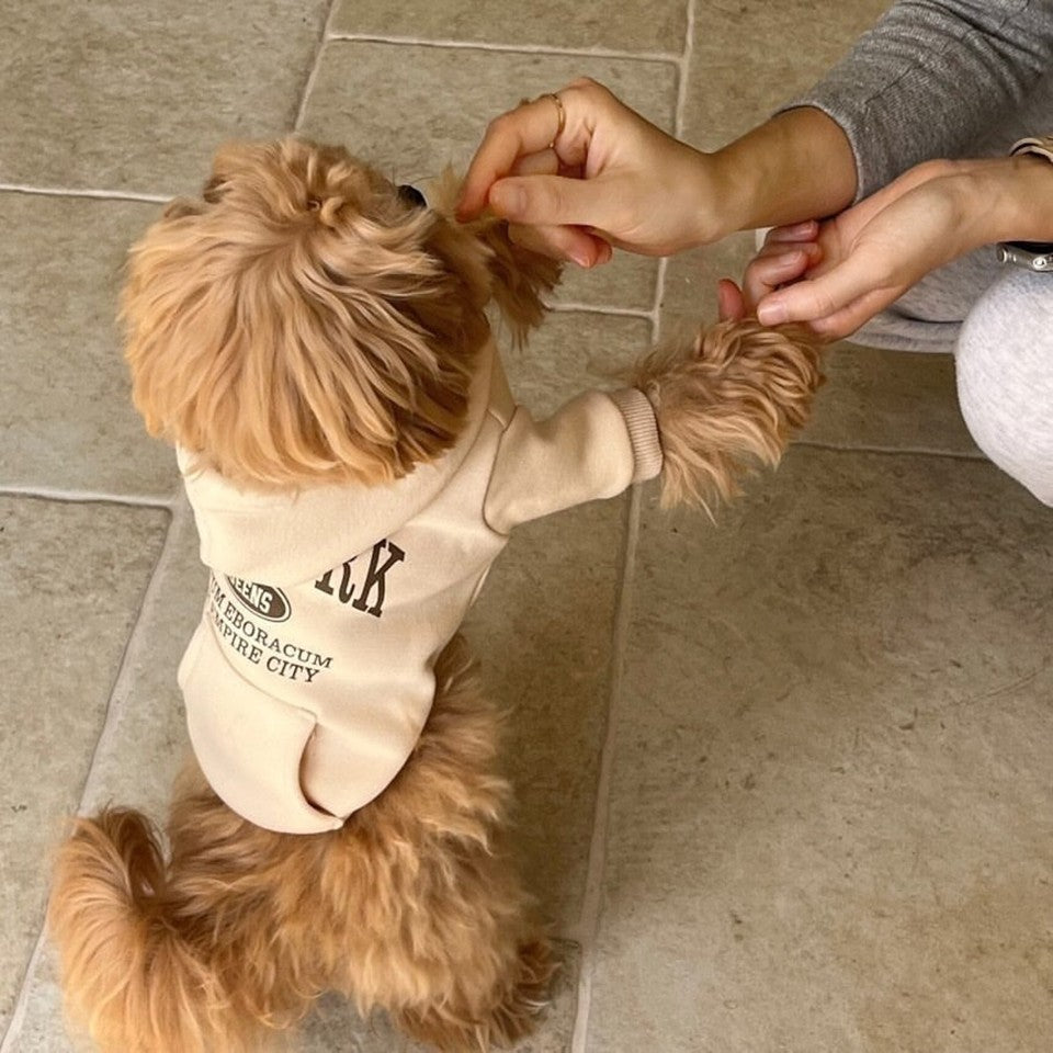 Moletom New York muito estiloso quentinho e confortável - Leleo Pets