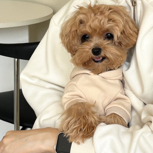 Moletom New York muito estiloso quentinho e confortável - Leleo Pets