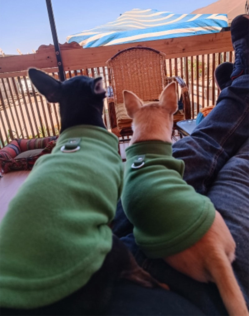 Moletom de lã macia e quentinha muito funcional e prático para o frio - Leleo Pets